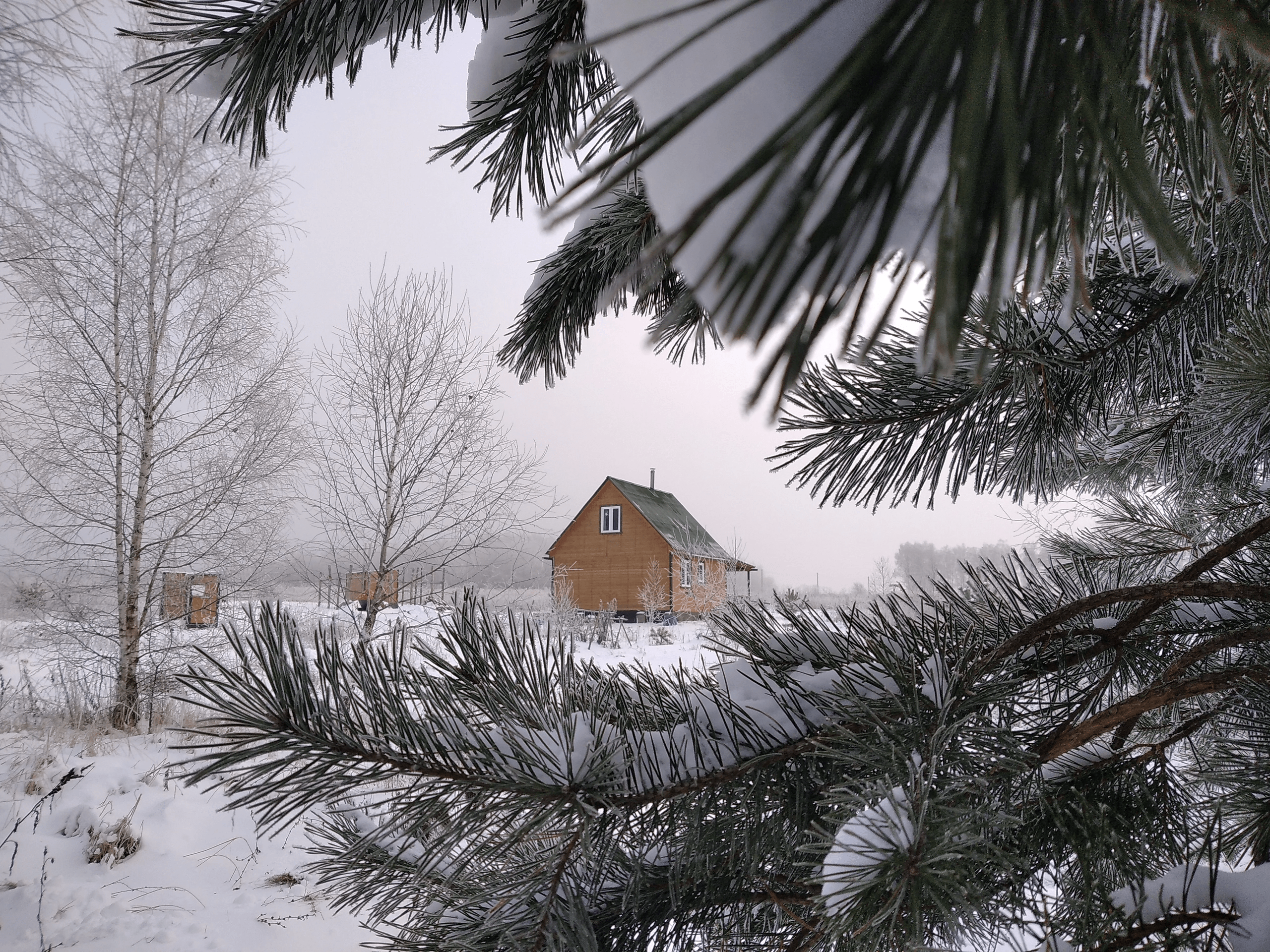 The kin's settlement Mezhdurechye