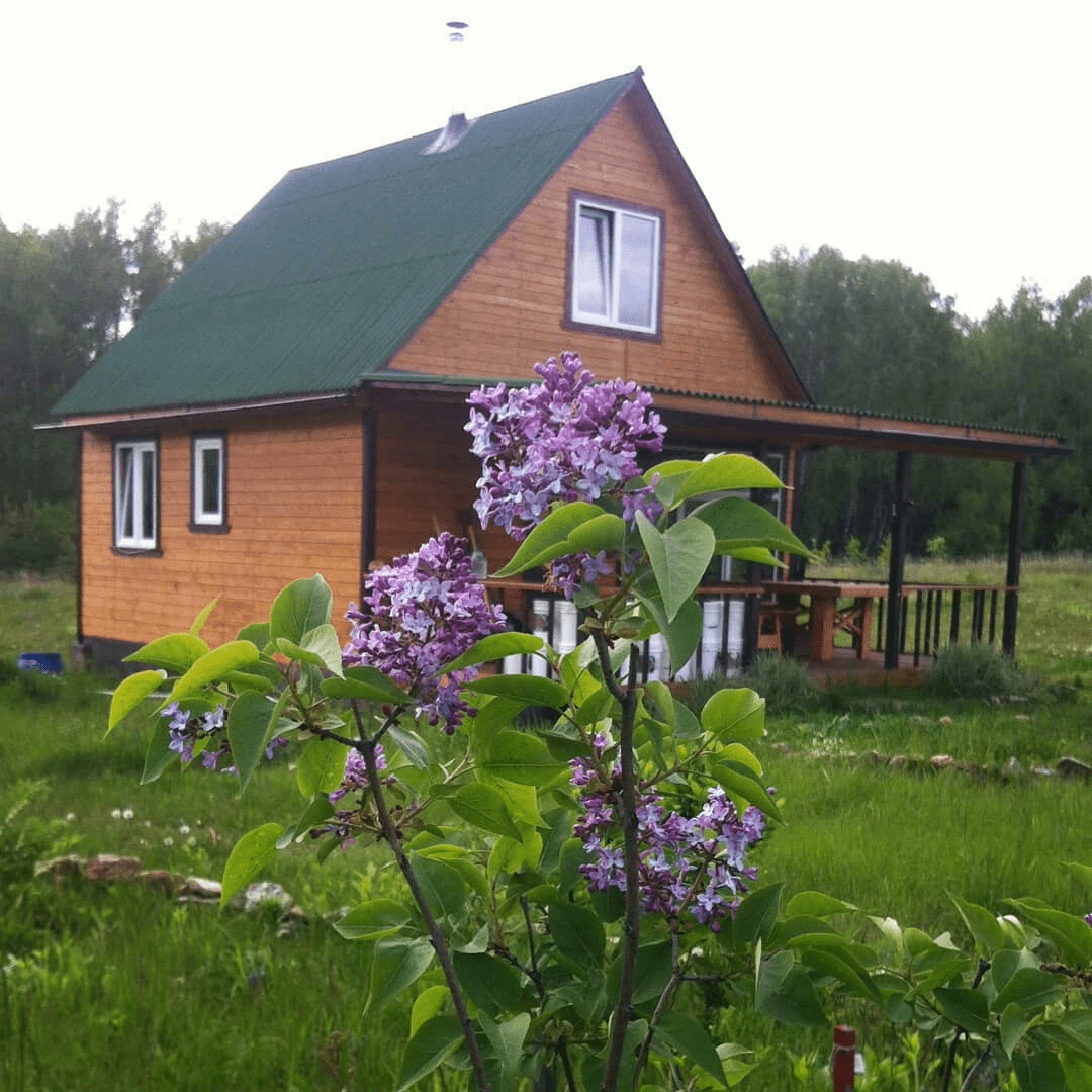 The kin's settlement Mezhdurechye